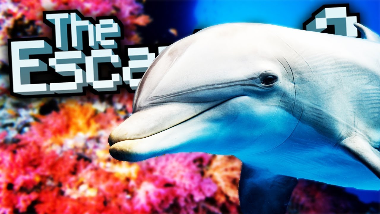 LUMBA LUMBA TERLUCU - The Escapists 2 Indonesia #8 - YouTube