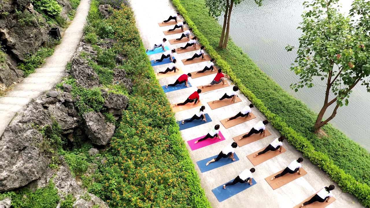 học viện yoga việt nam Update New Học viện YOGA Sống Khỏe VN - Khóa đào tạo giáo viên YOGA Nam Định - Ninh Bình