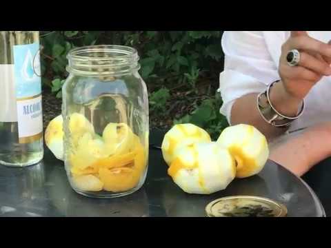 LIMONCELLO MAKEN