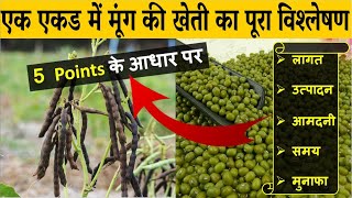 मूंग की खेती कब और कैसे करें | गर्मी में मूंग की खेती कैसे करें |  Mung Bean Farming In India