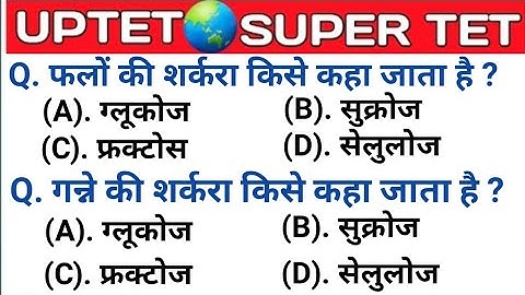 UPTET 2021 || Super TET EVS Important Questions || Super TET || UP LEKHPAL || SSC || RRB || UPPET