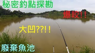 釣魚小搞搞手竿Flying fish PK 台南關廟野塘竿子大凹魚群爆咬 