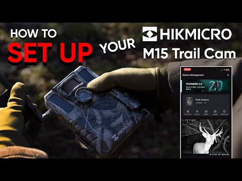 How to Set
