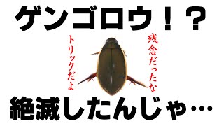 Slow Commentary] #47 The nearly extinct diving beetle has