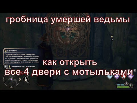 Hogwarts Legacy как открыть все 4 двери с мотыльками в гробнице умершей ведьмы  Шлем Урткота