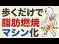 なぜウォーキングは筋肉を「脂肪燃焼マシン」に変えるのか？（代謝の仕組みを解説）