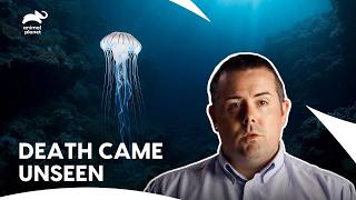 Venomous Irukandji Jellyfish Attacks Underwater Diver | I Was Prey S1 E5 | Animal Planet India