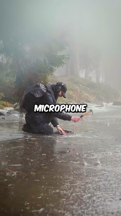 Beautiful Nature Sound