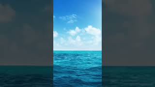 The Sea: Relax With Soothing  Harp Music #Relaxingmusic