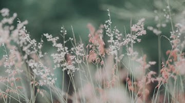 سورة التوبة من الآية (1) إلى (6) مكررة سبع مرات - الشيخ/ماهر المعيقلي