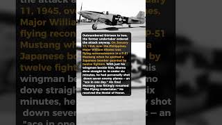 The Undertaker Who Downed 7 Planes In One Fight #short #history #ww2