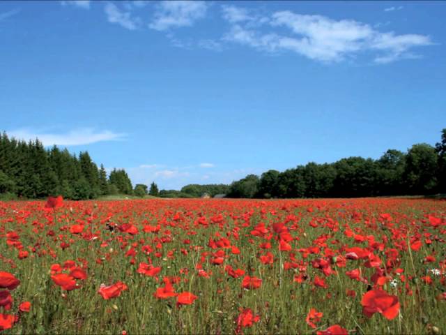 Saaremaa valss - Georg Ots class=