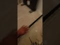 Trilho inferior do box