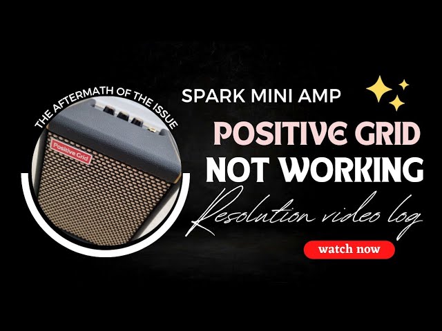 Positive Grid Spark Mini review