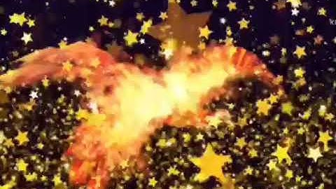 Video intro logo HD ❤️ mở đầu video clip của bạn ❤️ hot nhất hiện nay