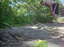 NEW TRICK - STANDING GAINERS!