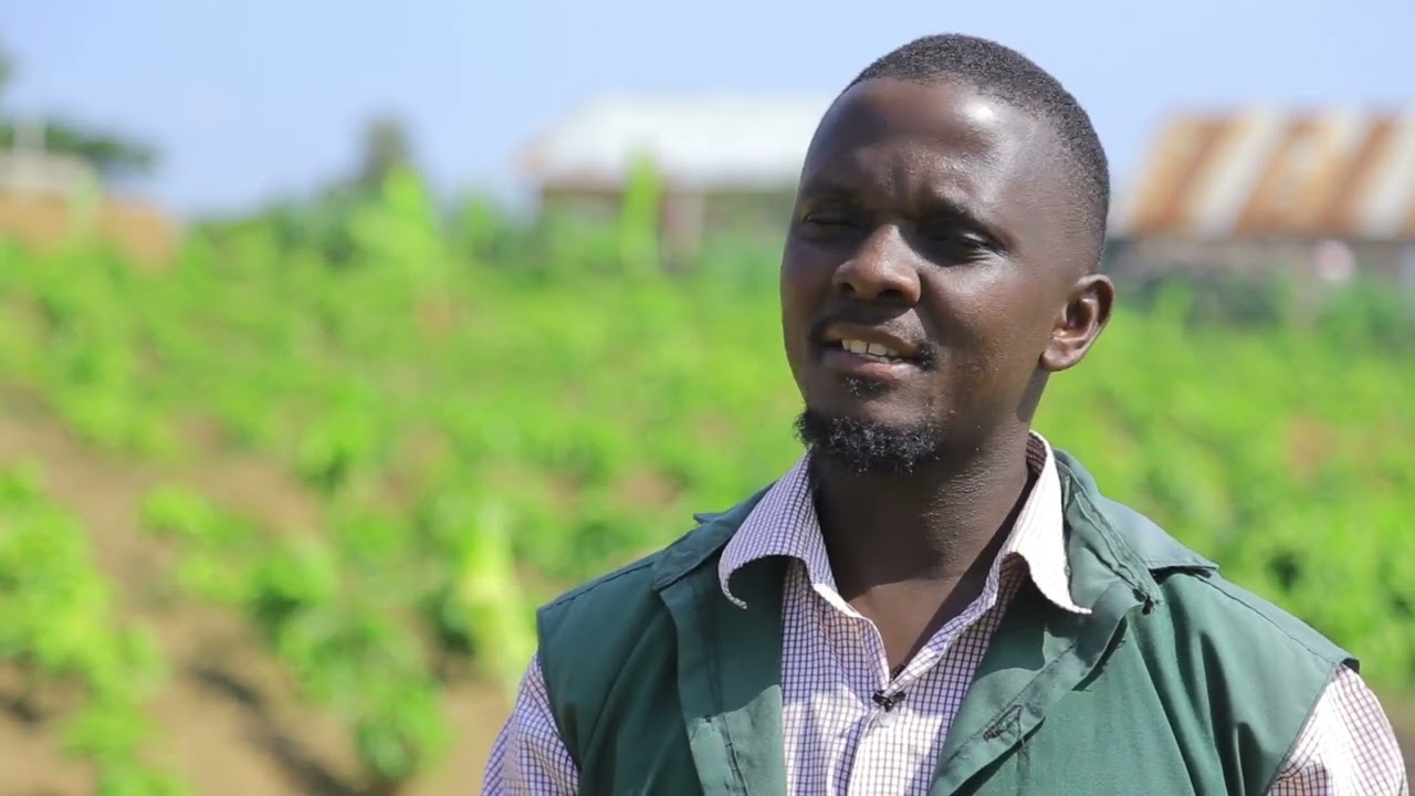 MUHIGIRA COFFEE ESTATE