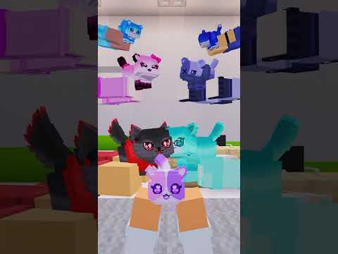 What happens in the back of the Vet?