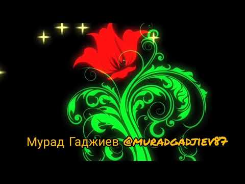 Аварский Нашид.Мурад Гаджиев-Наставление.