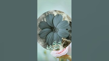 حالات واتس اب دينية🌺سورة الهمزة🌺