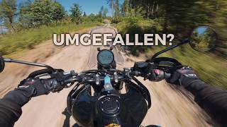 Mein 1. Mal im Gelände! (Himalayan 450 Offroad) 🌲😳
