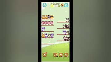 Cat Sort Level 1509 with Puzzle_Daddy