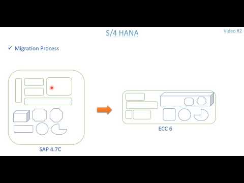 Video 2: S/4 HANA - Migration Process