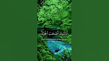 رعد الكردي سورة البقرة #قرآن_كريم #رعد_الكردي #تلاوة #islam #quran#الكردي #الله  #سورة_البقرة  #سورة