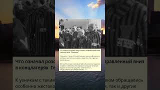 История розового треугольника в концлагерях Германии.
