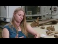 Archaeological Discovery in North Florida Adds to What We Know of Human Prehistory