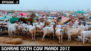 COW MANDI SOHRAB GOTH 2017 | Episode 2 | Video in URUD/HINDI