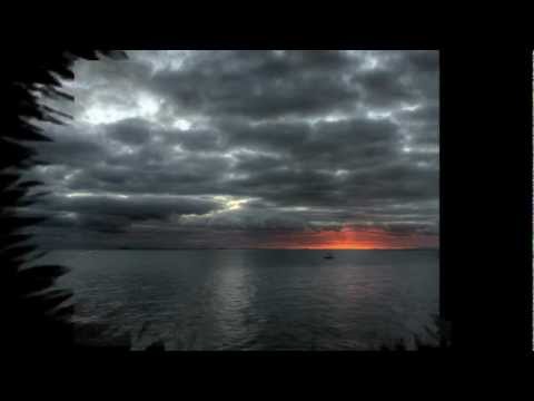 Diary of Dreams  - Colorblind
