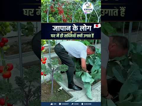 जापान के हर घर में उगती हैं सब्जियाँ 😱 वजह जानकर हैरान रह जाओगे!