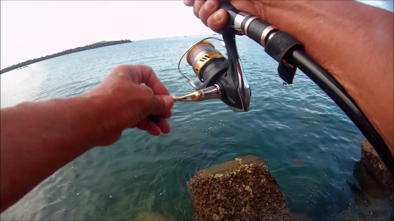 今日の釣果シオ カンパチ幼魚 徳島県海釣り動画ルアー海釣り Youtube