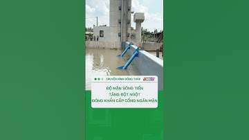 Độ mặn sông Tiền tăng đột ngột, đóng khẩn cấp cống ngăn mặn #shorts