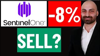 SentinelOne Down 8% Why ?! Net Worth