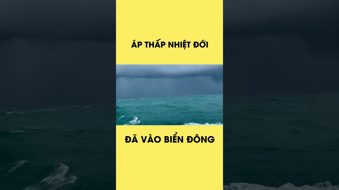 Áp thấp nhiệt đới đã vào Biển Đông, gió giật cấp 8