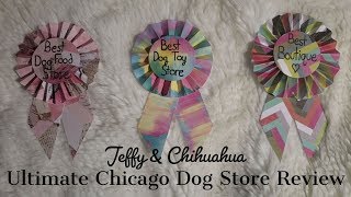 Reviewing 10 Chicago Dog Stores!!! Plus buying my dog a gift at each one!