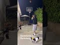 #hoops #basketballlife #dachshund Dogs on dogs