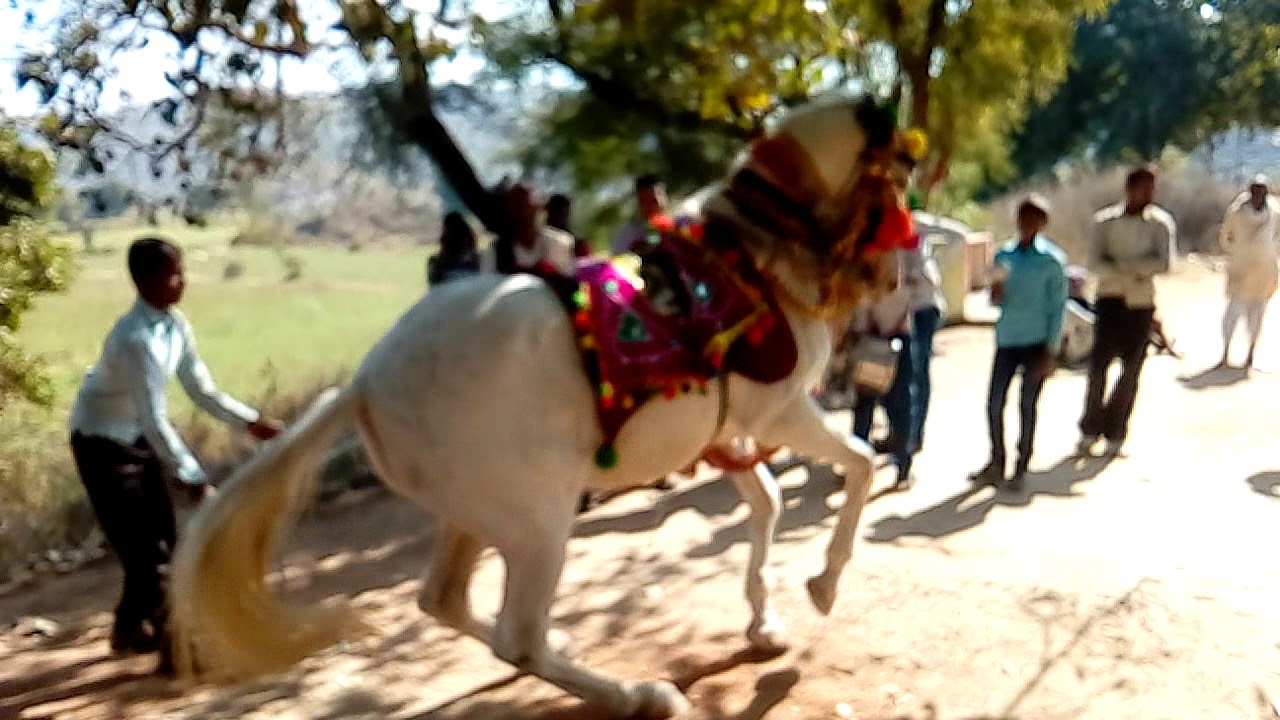 Durga prasad yadav village chhivlaha purwa post rasin chitrakoot up