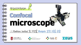 (2022.03) Video Experiment Protocol #VEP10-confocal microscopy공초점 현미경