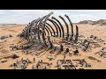 Paleontologists Found a Dinosaur That Made T. Rex Look Friendly