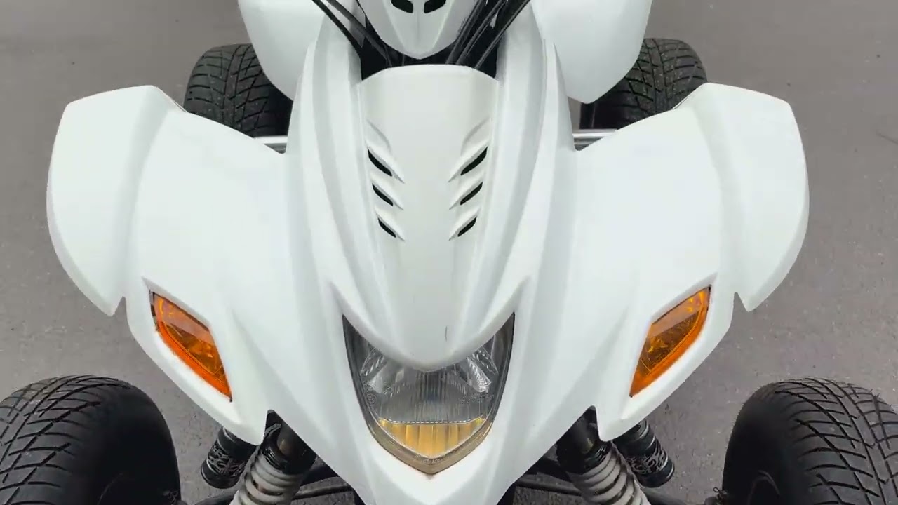 ATV / Fyrhjuling DINLI 901-450