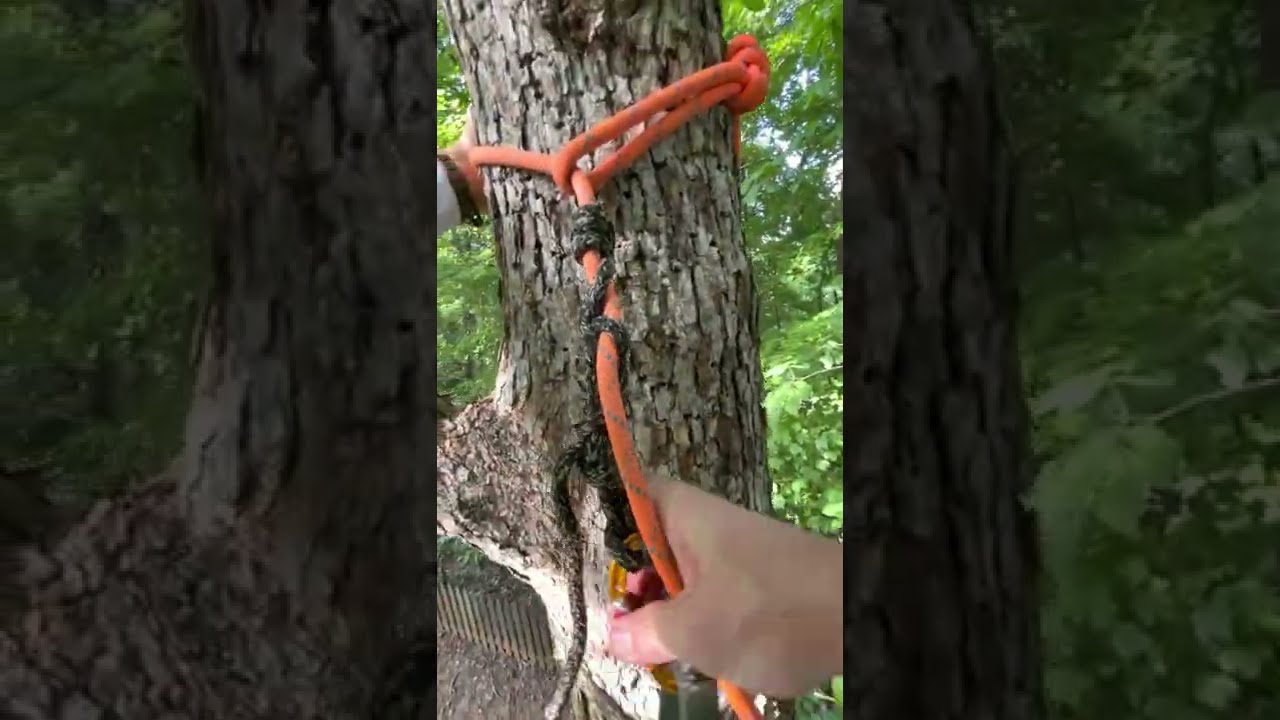 2TC Down Around Limb + Friction Hitch Slip and self rescue test