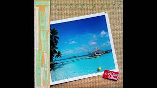 LONG SUMMER DAYS  BAND レコード Island Band / Long Summer Days – RECORD SHOP rare groove