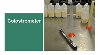 Colostrometer