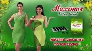 Download lagu Maximus ver Mimpi