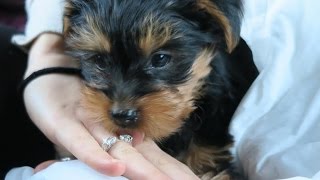THE NEWEST MEMBER OF OUR FAMILY!