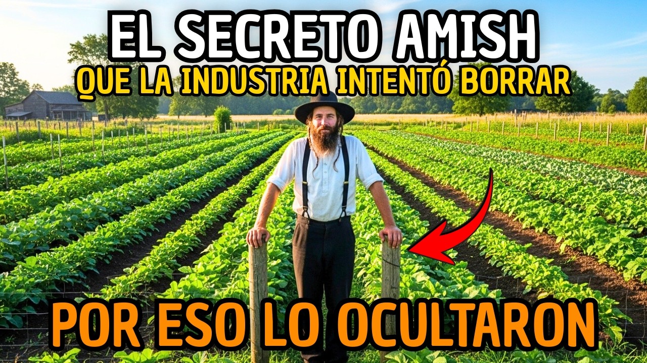Cómo Los Amish Riegan Sus Jardines Sin Mangueras Ni Sistemas De Irrigación