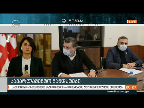 ნათელაშვილისა და ხაბეიშვილის შემდეგ დეპუტატის უფლებამოსილება ვადაზე ადრე 49 კანონმდებელს შეუწყდა